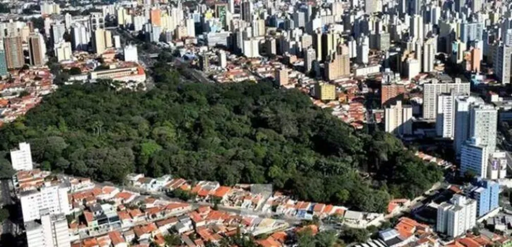 Terreno, 460 m² - Foto 4