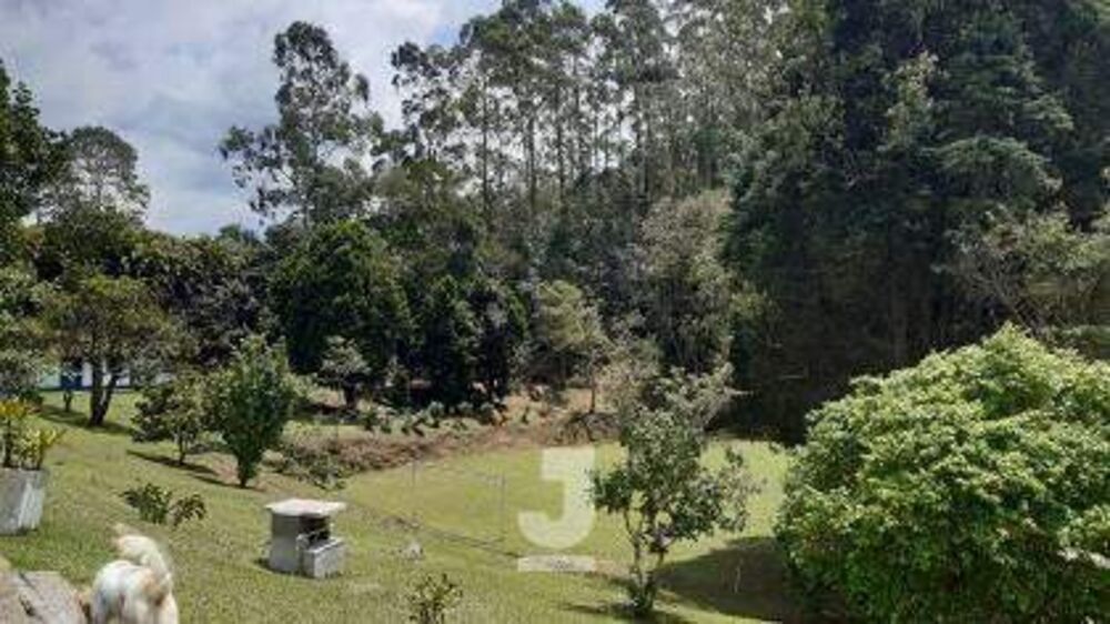 Sítio, 4 quartos, 200 m² - Foto 22