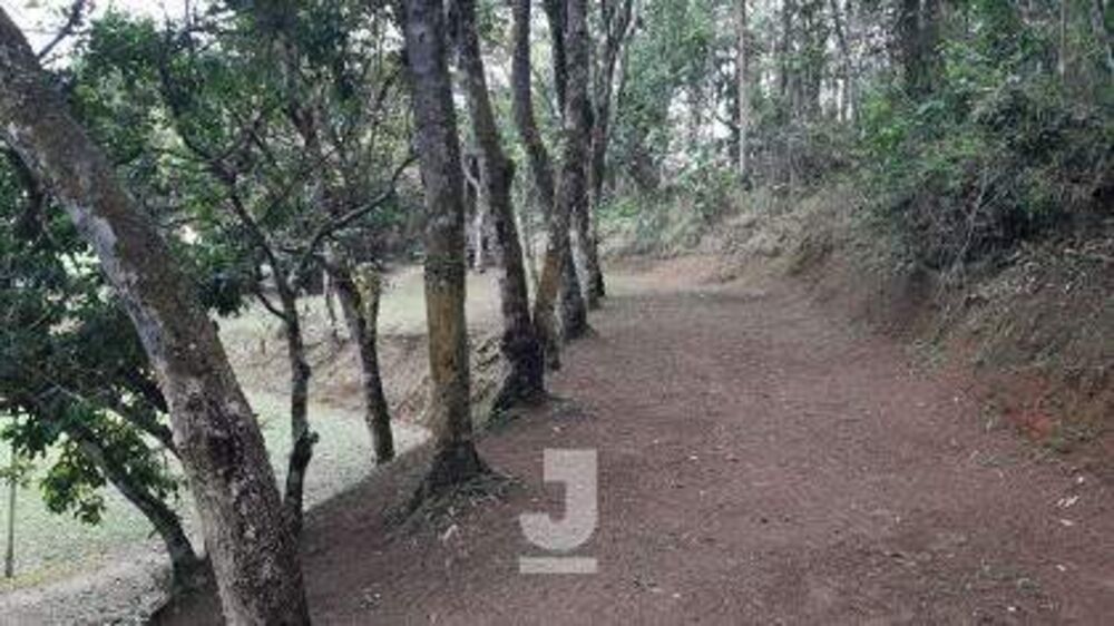 Sítio, 4 quartos, 200 m² - Foto 7