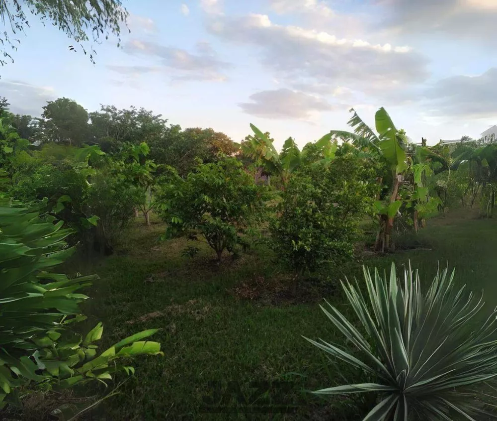 Chácara, 3 quartos - Foto 2