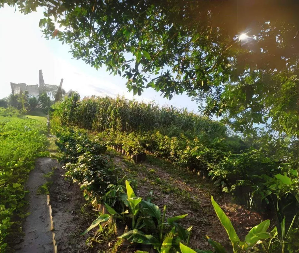 Chácara, 3 quartos - Foto 8