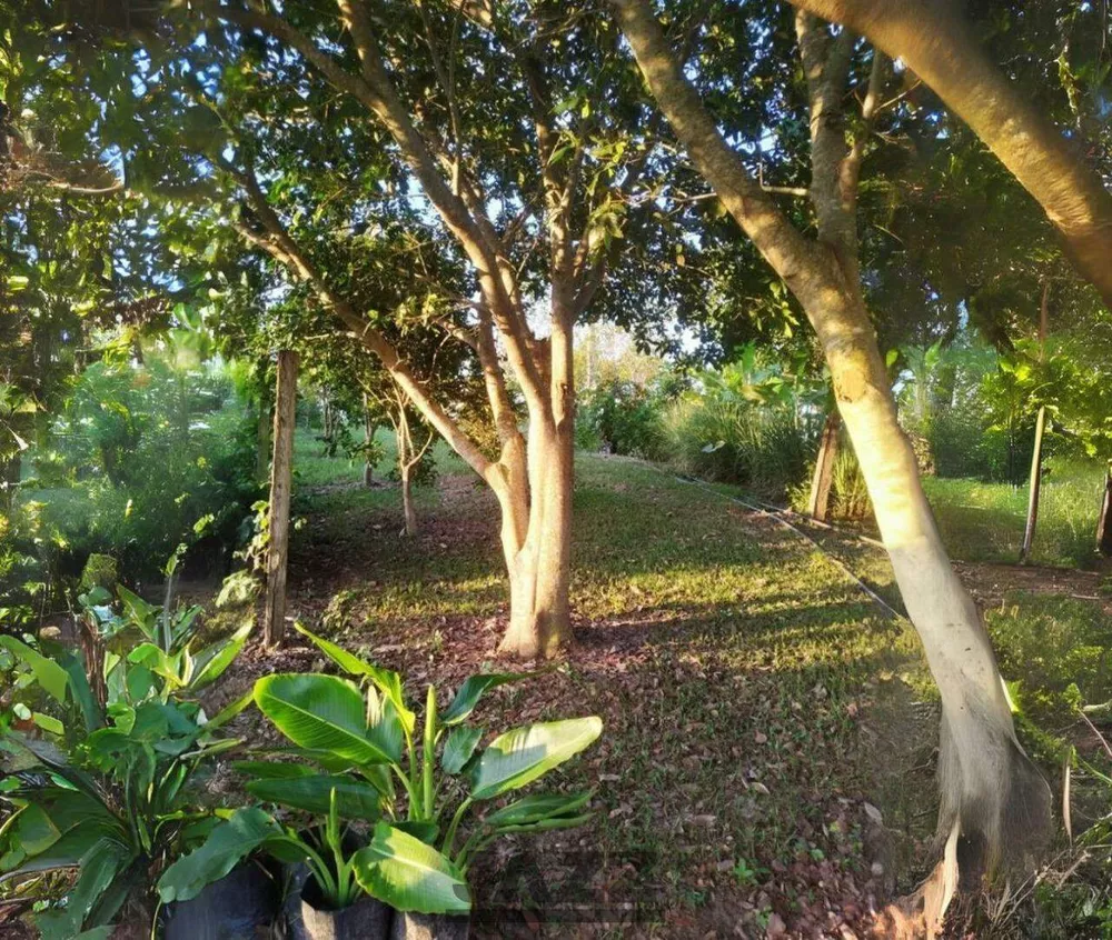 Chácara, 3 quartos - Foto 15