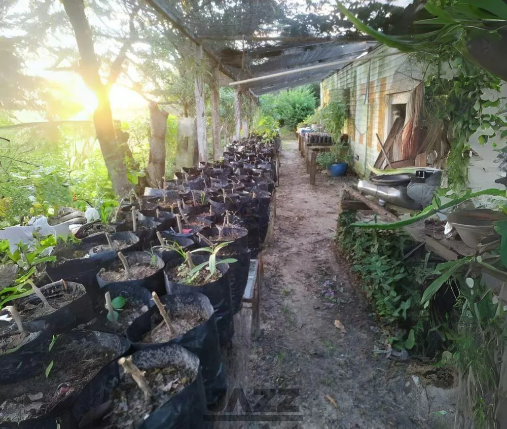 Chácara, 3 quartos - Foto 9