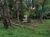 Terreno, 7263 m² - Foto 15