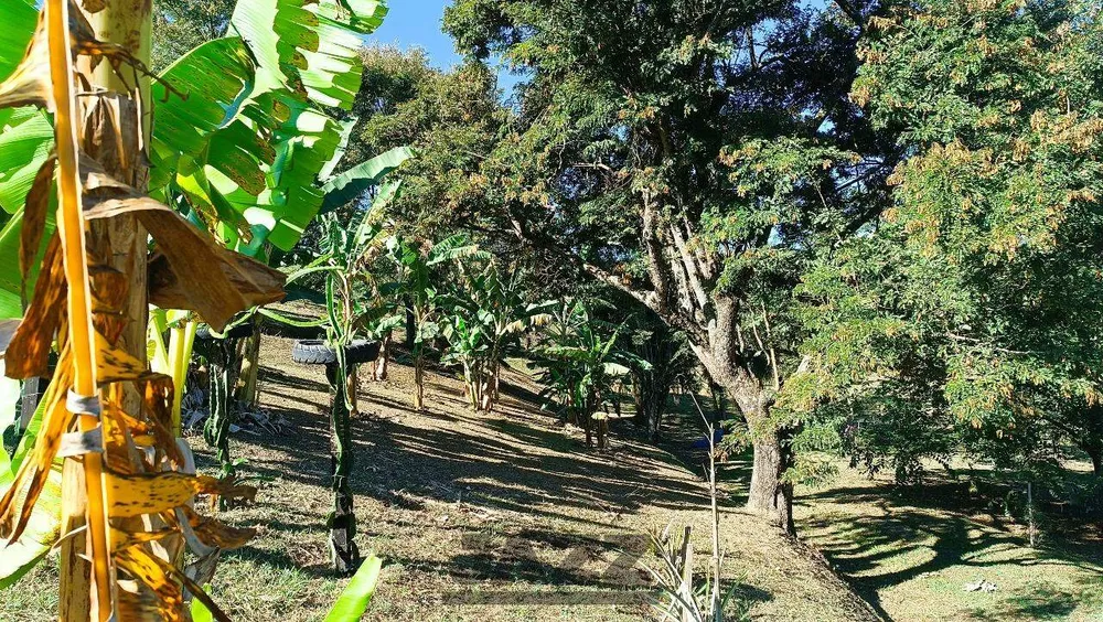 Terreno, 2 hectares - Foto 6