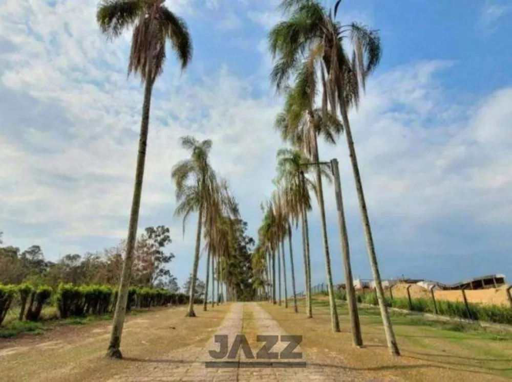 Terreno, 2 hectares - Foto 9