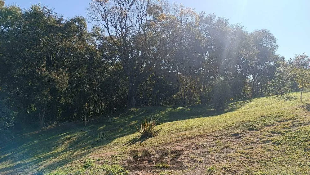 Terreno, 2 hectares - Foto 11