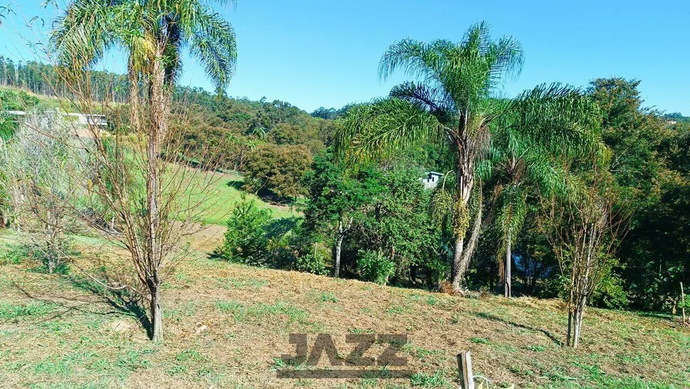 Terreno, 2 hectares - Foto 4