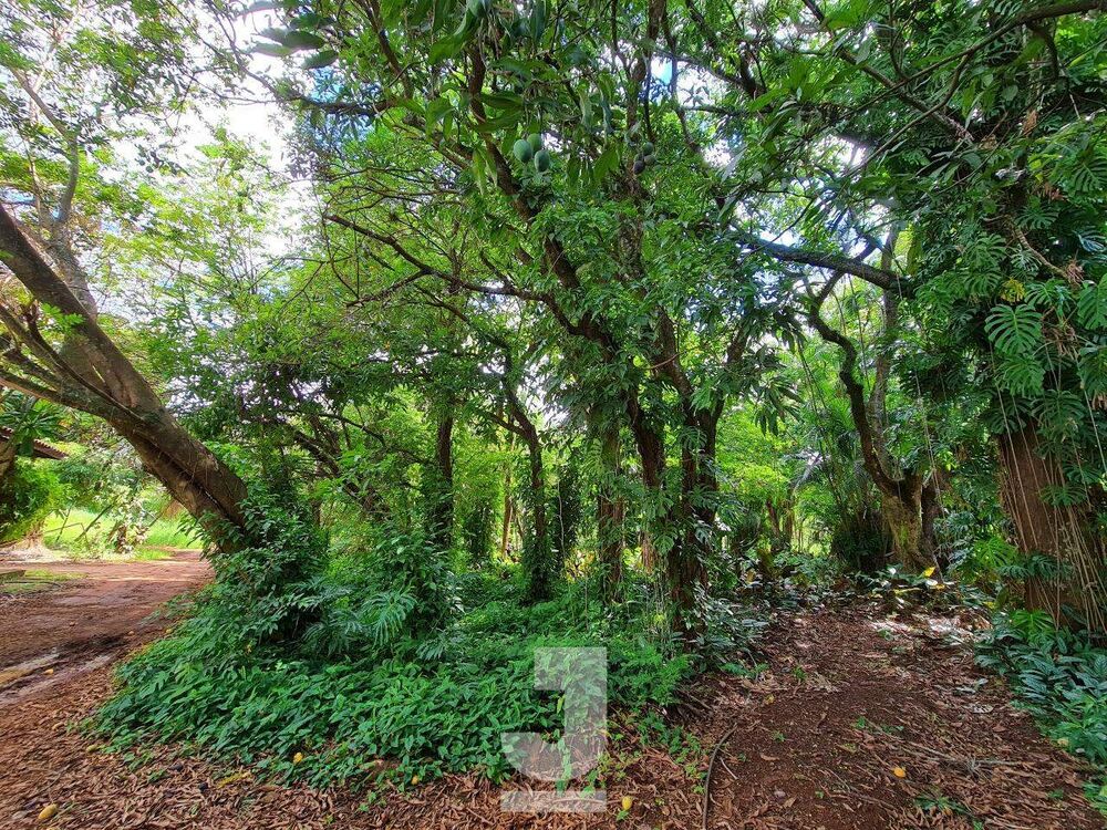 Terreno, 1000 m² - Foto 18