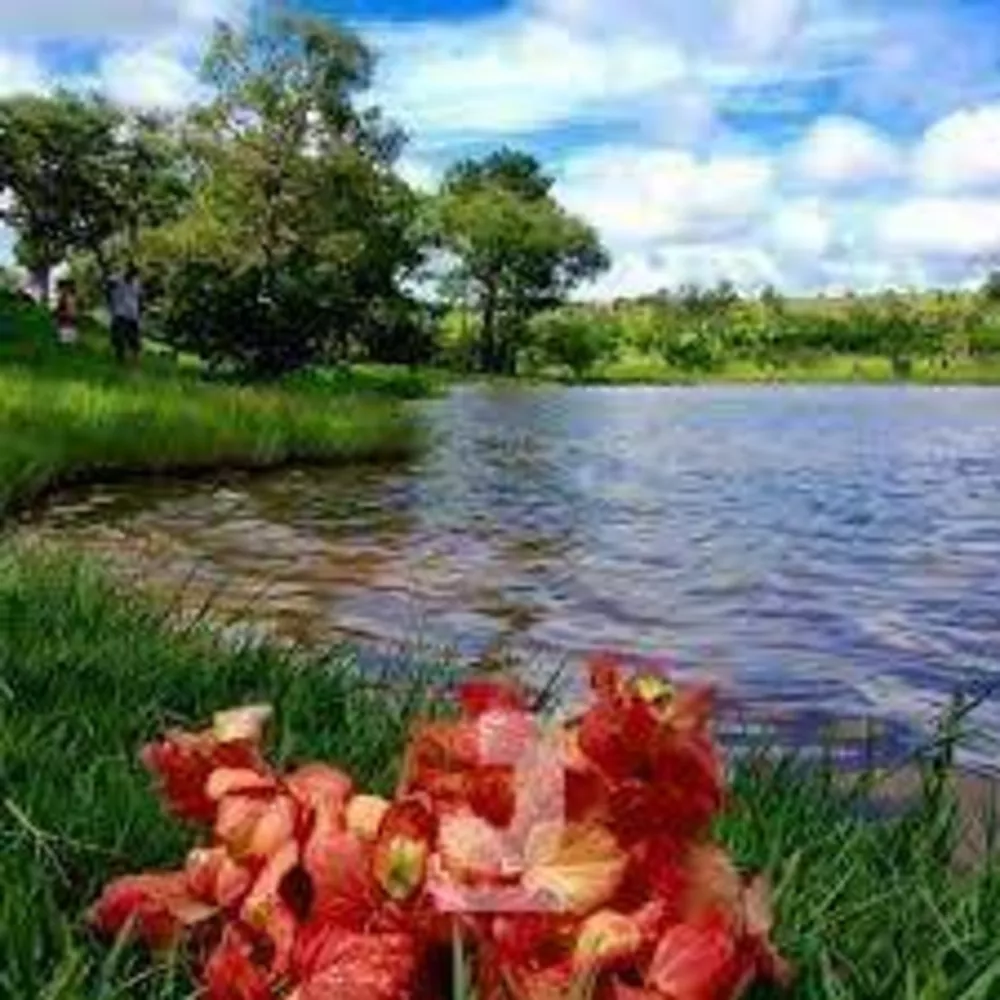 Terreno, 720 m² - Foto 3