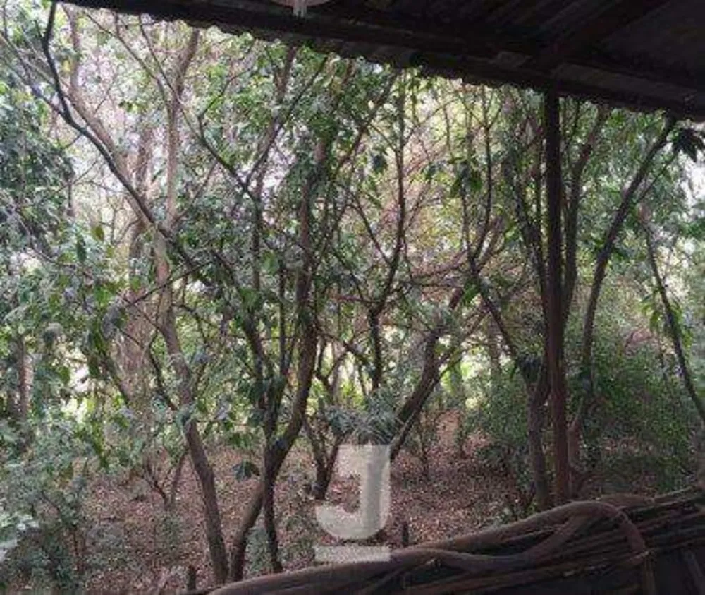 Depósito-Galpão, 1790 m² - Foto 1