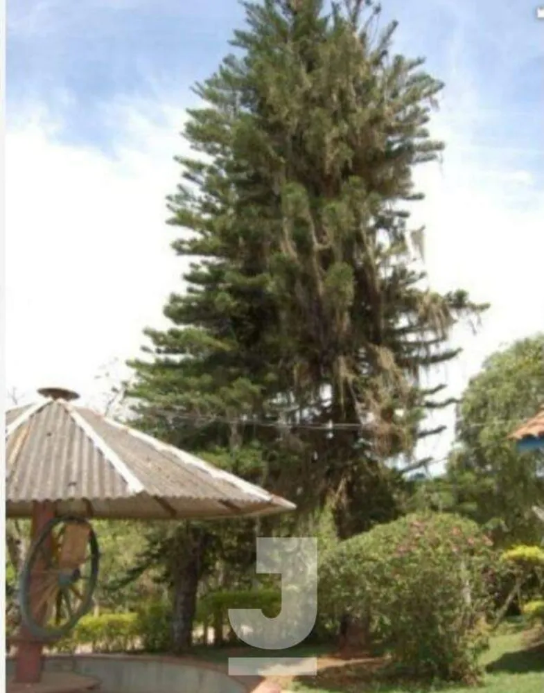 Chácara, 3 quartos - Foto 3