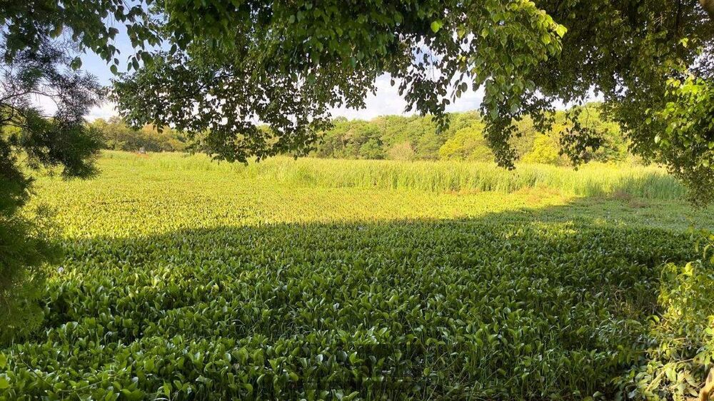 Terreno, 90 m² - Foto 3