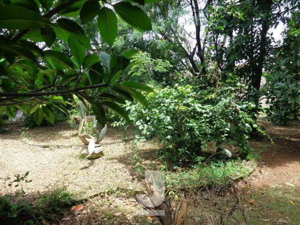 Terreno, 1000 m² - Foto 2