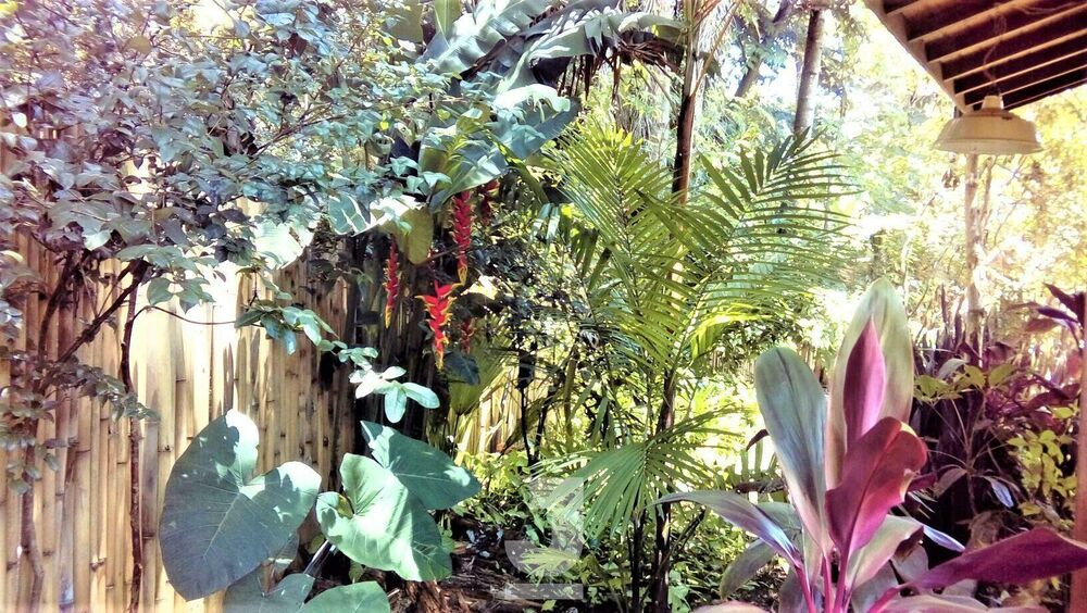 Casa, 3 quartos, 150 m² - Foto 4