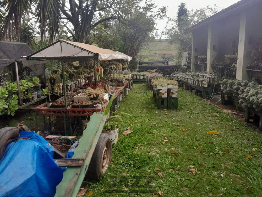 Chácara, 5 quartos - Foto 4