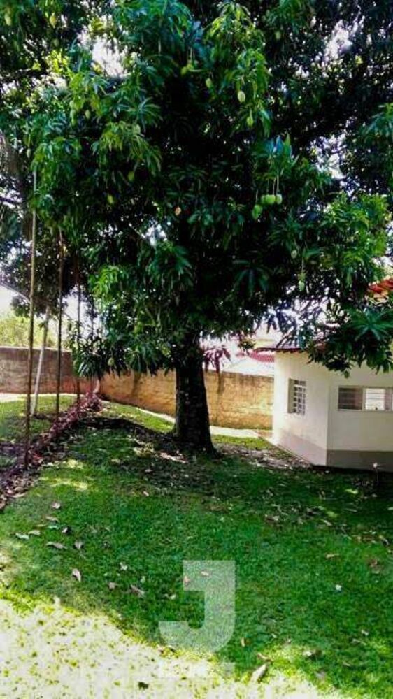 Chácara à venda com 5 quartos, 250m² - Foto 7