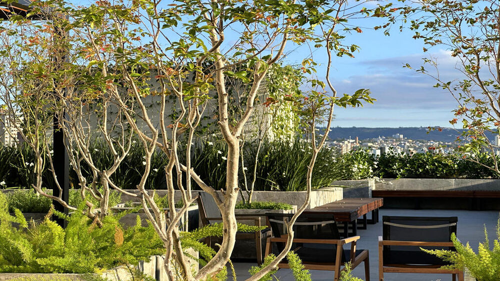 Apartamento, 3 quartos, 92 m² - Foto 43