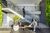Kitnet-Studio, 29 m² - Foto 27