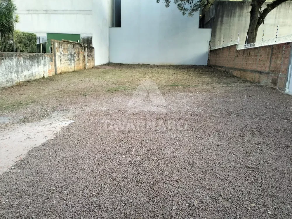 Sala-Conjunto - Foto 8