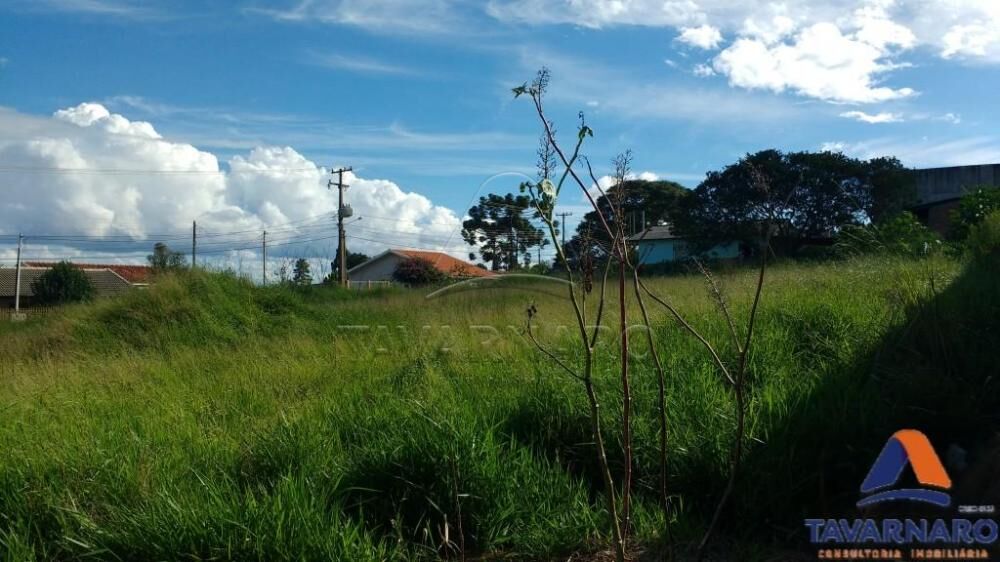 Loteamento e Condomínio para alugar, 1188m² - Foto 2