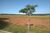 Loteamento e Condomínio, 450 m² - Foto 1
