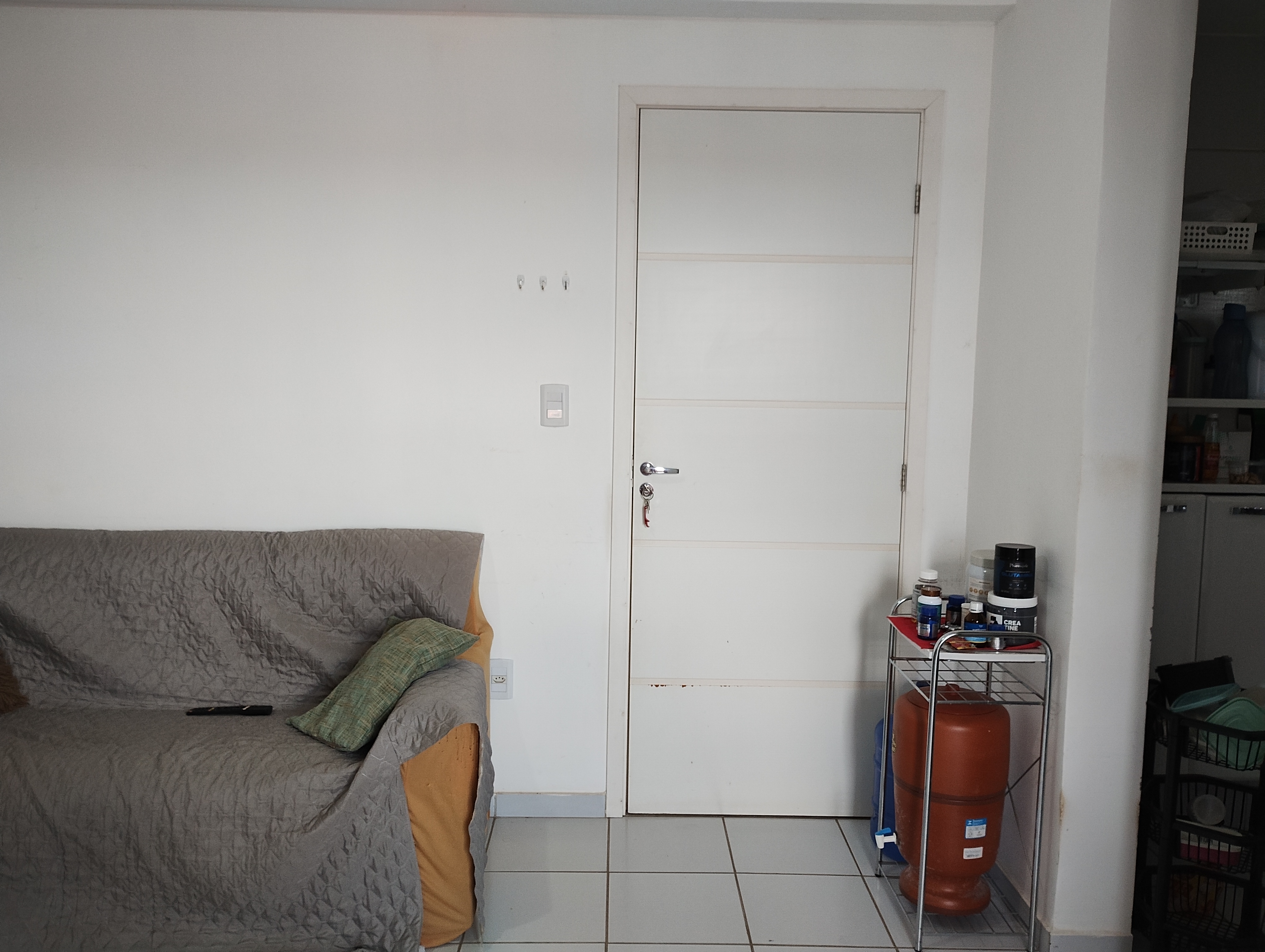 Apartamento à venda e aluguel com 3 quartos, 65m² - Foto 19