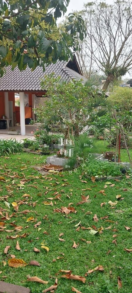 Terreno, 605 m² - Foto 17