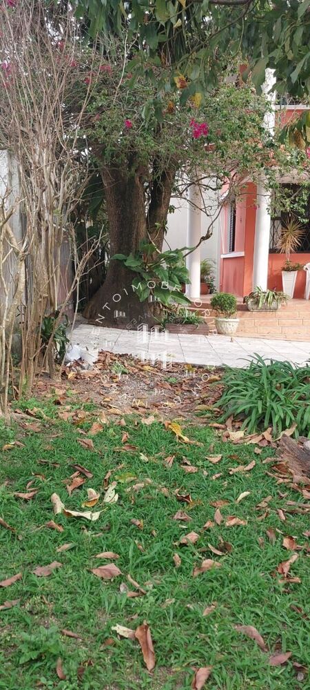 Terreno, 605 m² - Foto 15