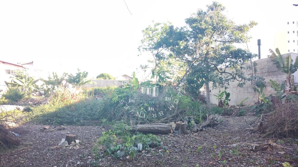 Terreno, 1558 m² - Foto 6