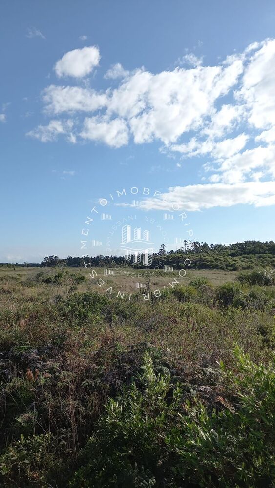 Terreno, 18 hectares - Foto 6