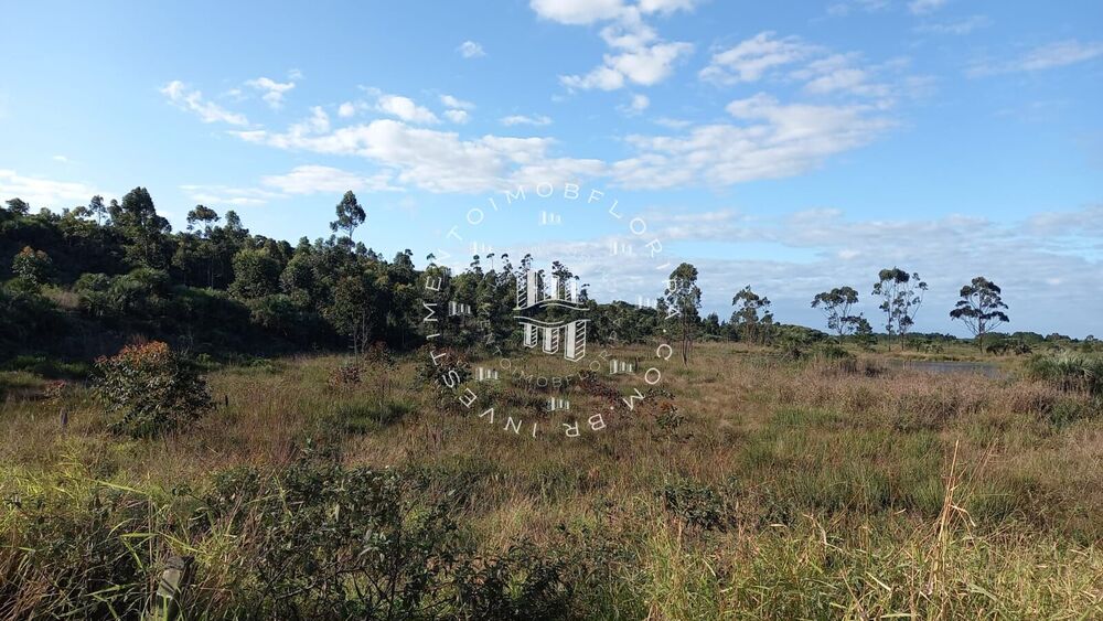 Terreno, 18 hectares - Foto 9