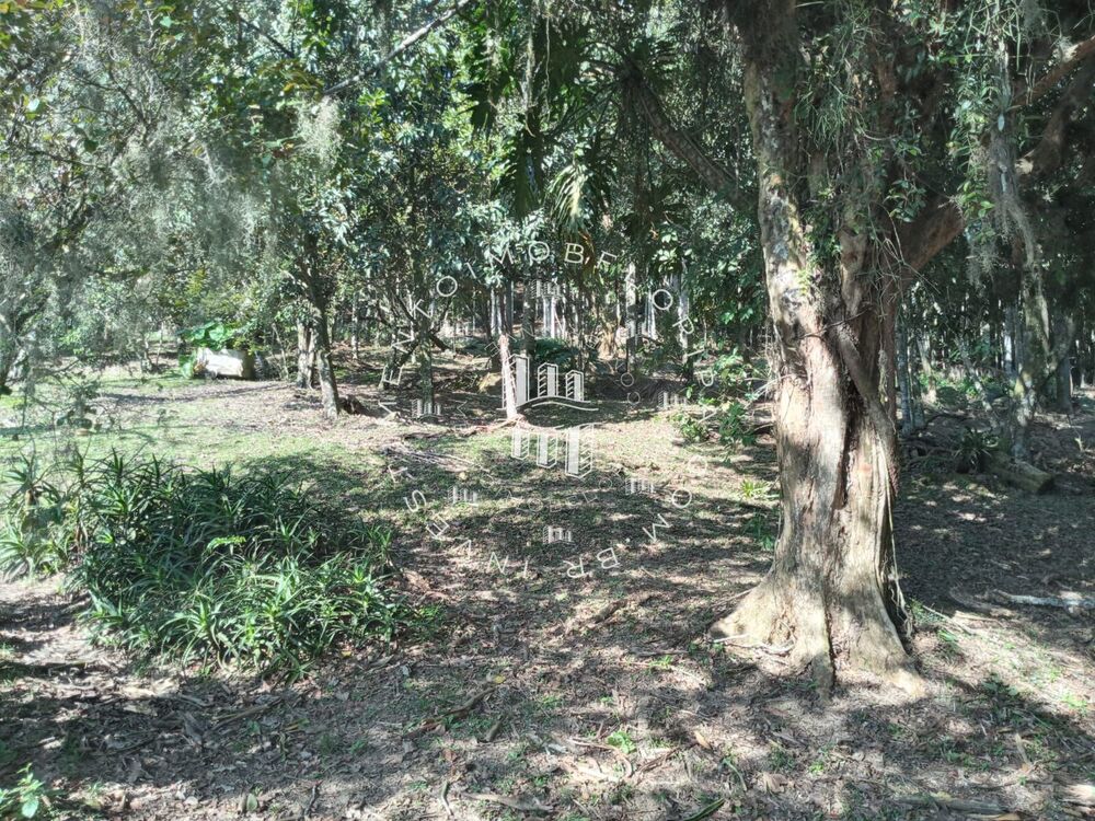 Sítio, 1 quarto, 5 hectares - Foto 5