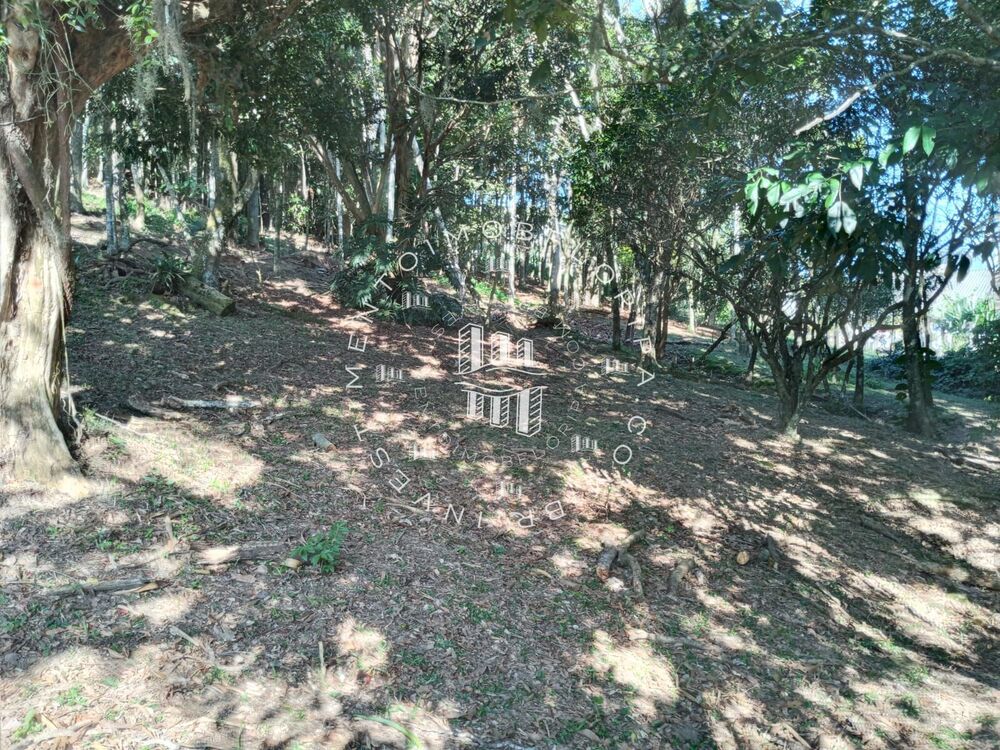 Sítio, 1 quarto, 5 hectares - Foto 6