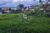 Terreno, 686 m² - Foto 8