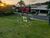 Terreno, 686 m² - Foto 3