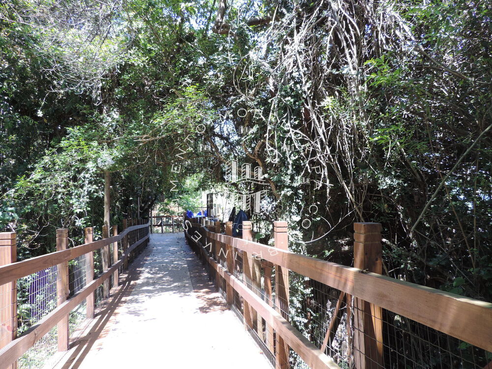 Cobertura, 3 quartos, 180 m² - Foto 24