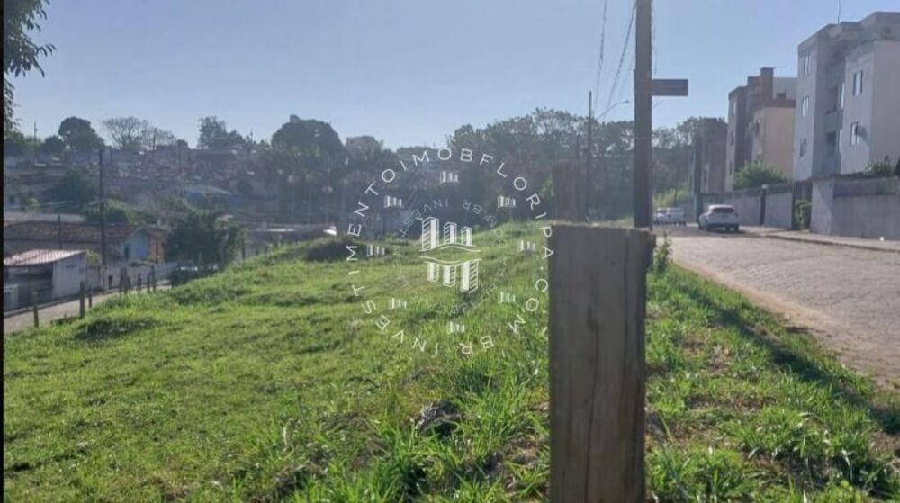 Terreno, 2900 m² - Foto 3