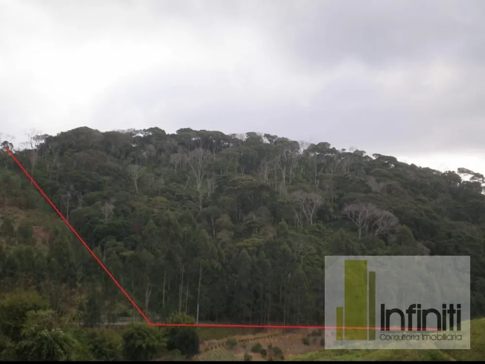 Terreno, 8 hectares - Foto 3