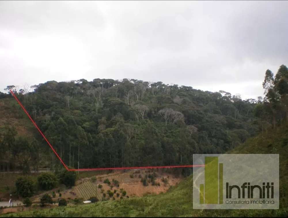 Terreno, 8 hectares - Foto 1