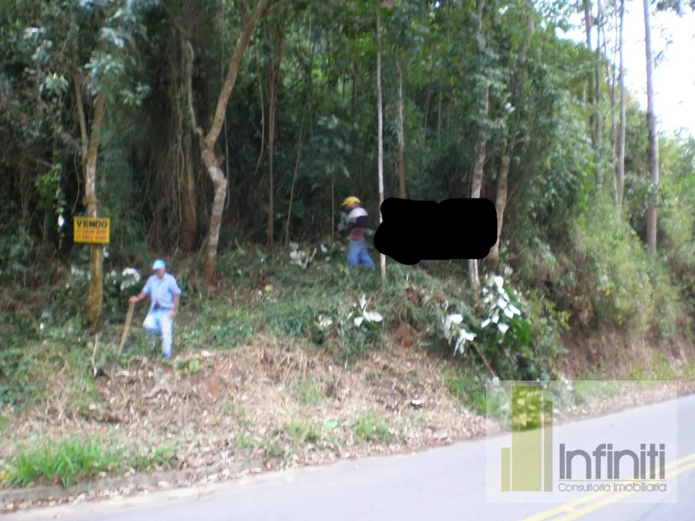 Terreno, 8 hectares - Foto 12