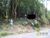 Terreno, 8 hectares - Foto 4