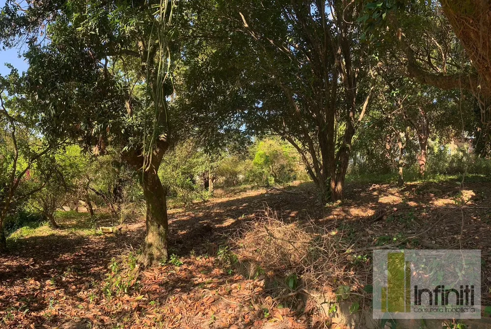 Terreno, 8000 m² - Foto 44