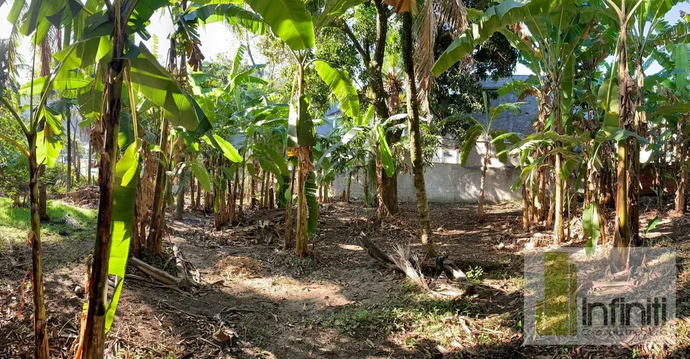 Terreno, 8000 m² - Foto 35