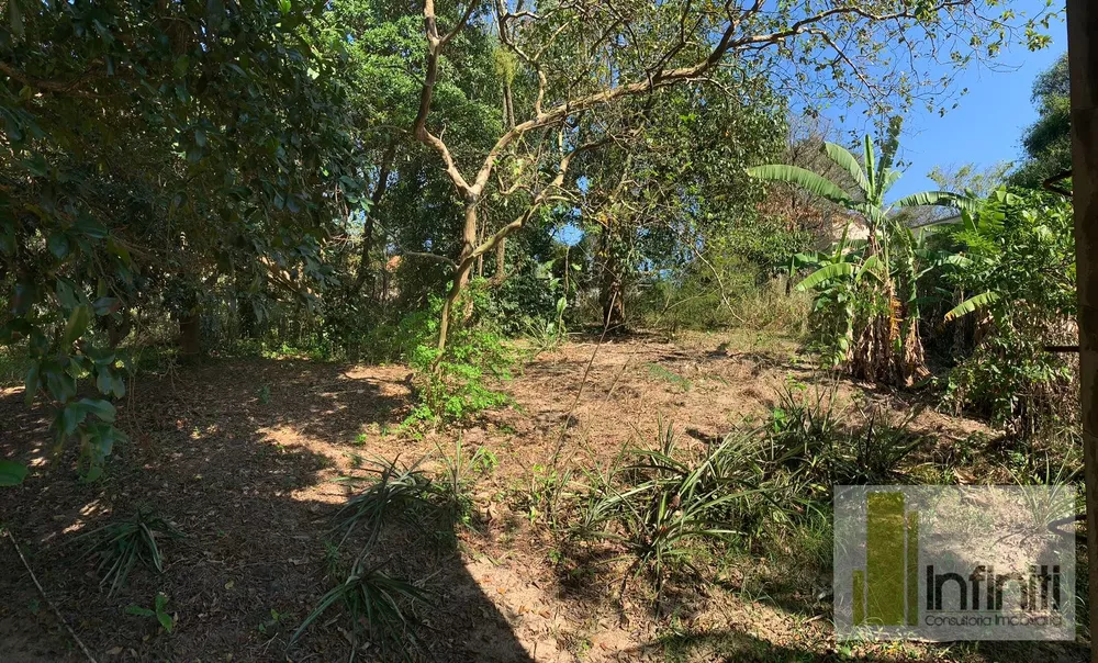 Terreno, 8000 m² - Foto 46