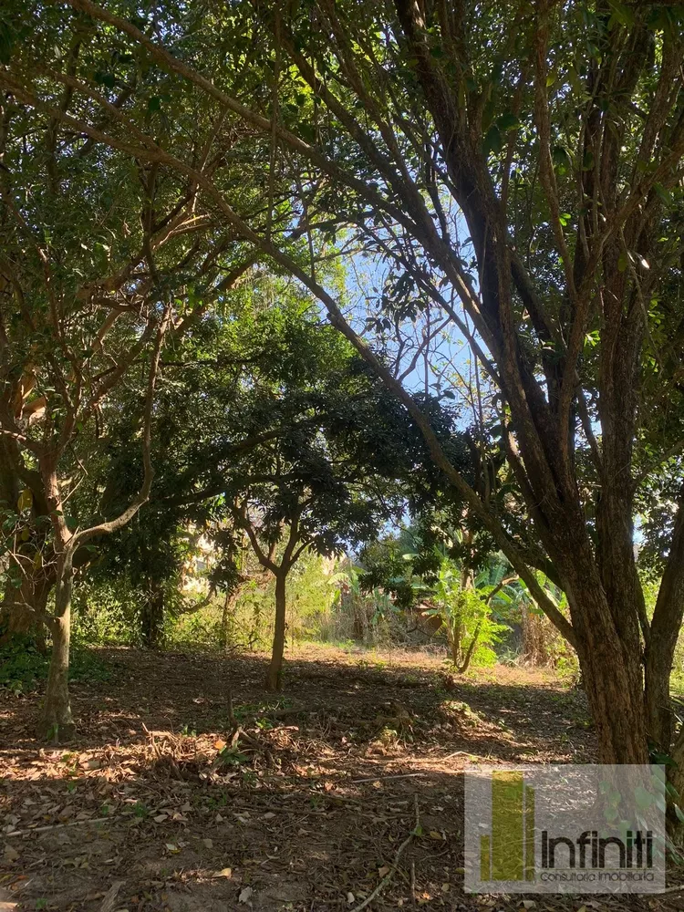 Terreno, 8000 m² - Foto 47