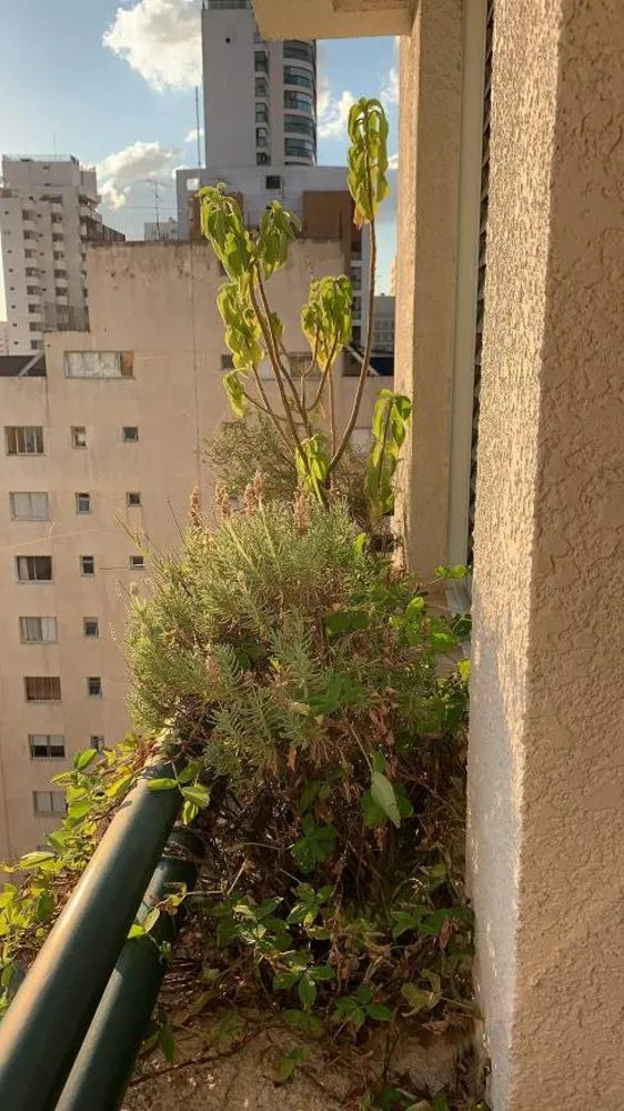 Apartamento, 1 quarto, 40 m² - Foto 2