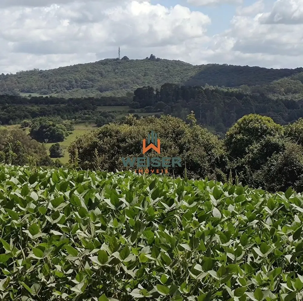 Sítio, 3 quartos, 18 hectares - Foto 4