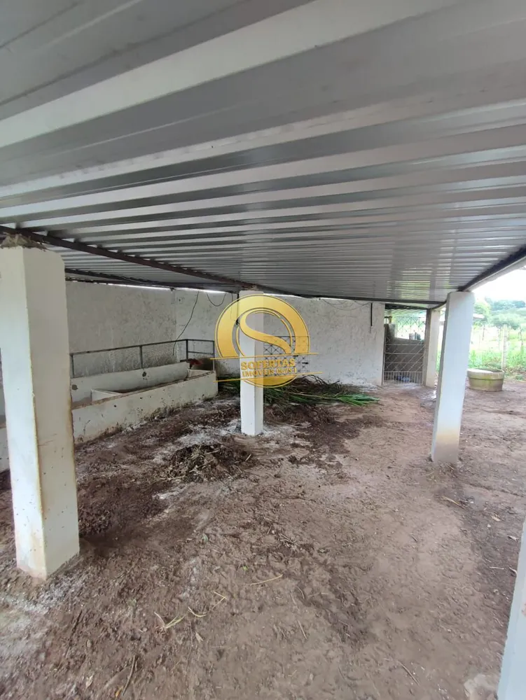 Sítio, 3 quartos, 10000 m² - Foto 18
