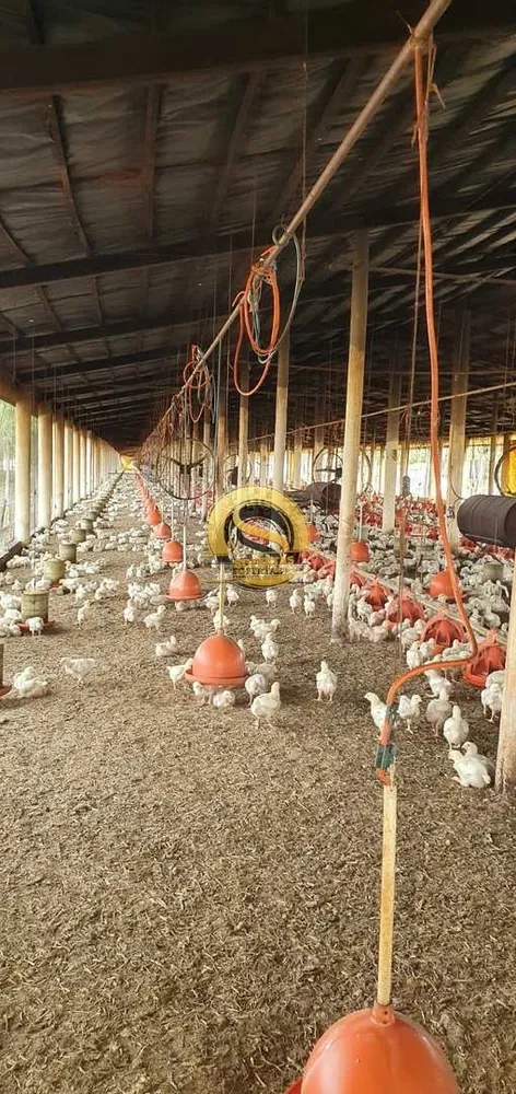Fazenda, 8 m² - Foto 1